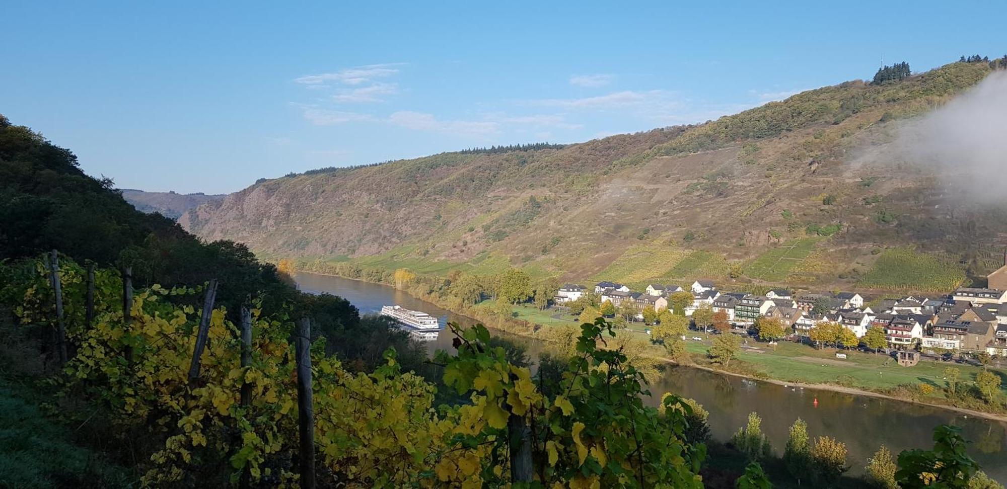 Weinhotel Sonnenschein Эрнст Экстерьер фото