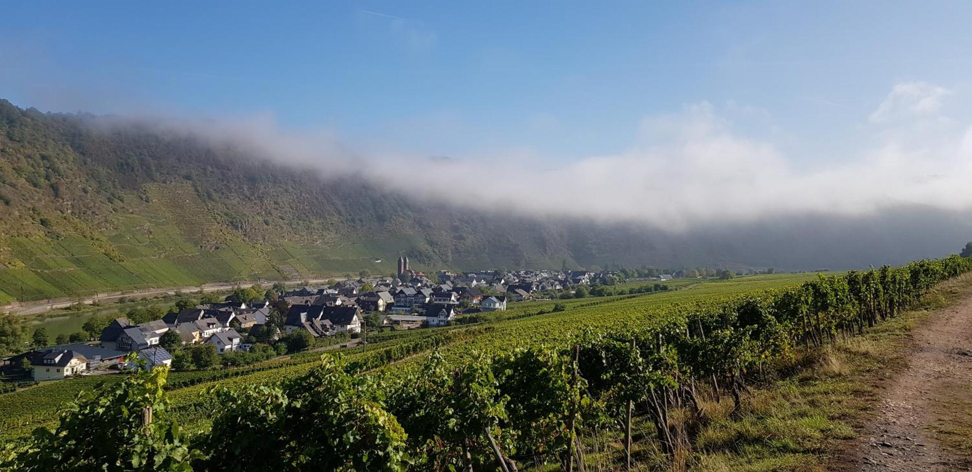 Weinhotel Sonnenschein Эрнст Экстерьер фото