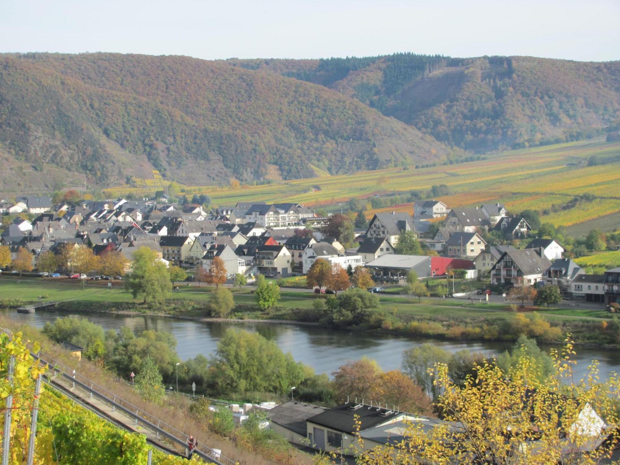 Weinhotel Sonnenschein Эрнст Экстерьер фото